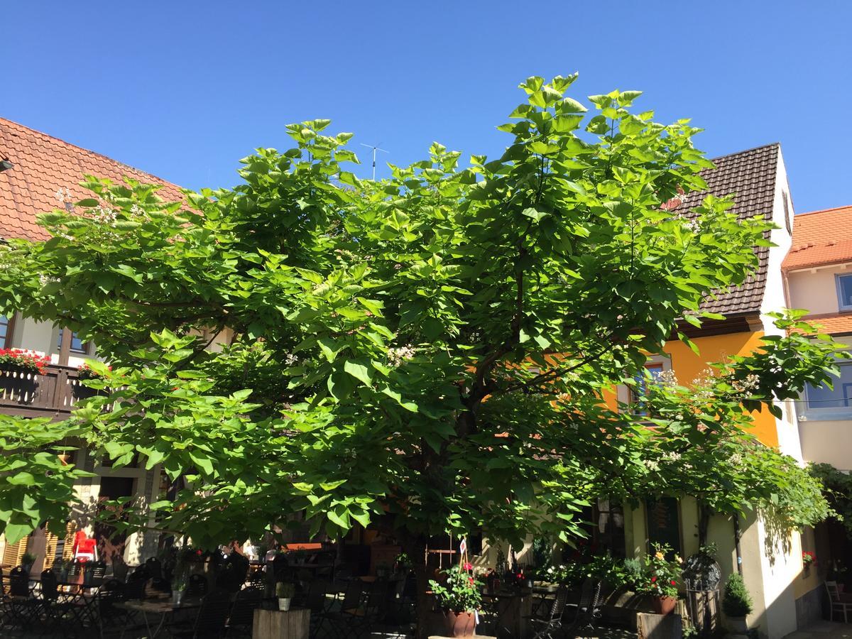 Gasthof Zum Storch Prichsenstadt Luaran gambar